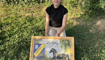  Laureleen vient de réaliser ce puzzle aux couleurs de la commune de Luigny.
