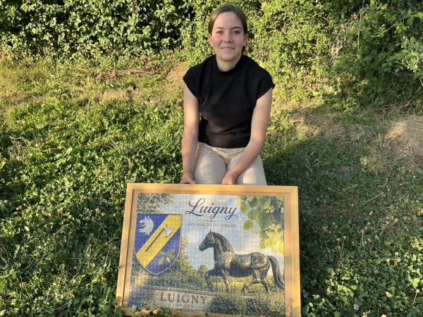 Laureleen vient de réaliser ce puzzle aux couleurs de la commune de Luigny.
