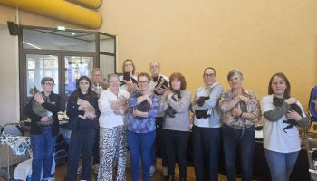 Les personnes souhaitant accueillir un chat peuvent se rapprocher de l'association pour découvrir les animaux à l'adoption et les démarches à suivre.