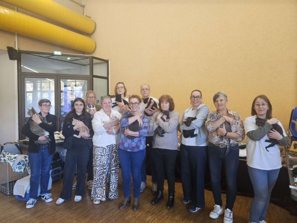 Les personnes souhaitant accueillir un chat peuvent se rapprocher de l'association pour découvrir les animaux à l'adoption et les démarches à suivre.